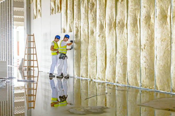 Best Types of Insulation in Independence, VA